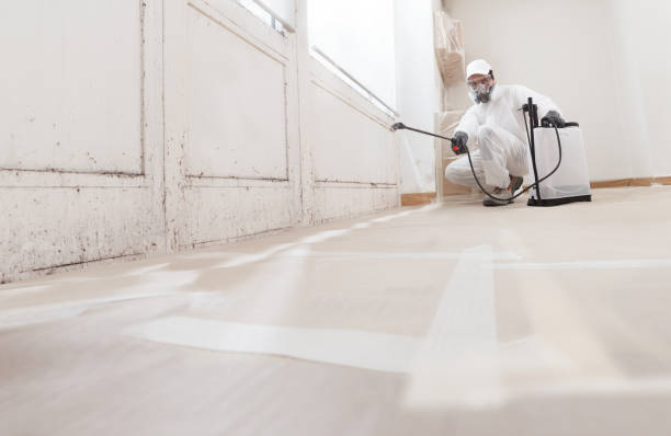 24/7 Emergency Mold Removal experts in Washington, VA